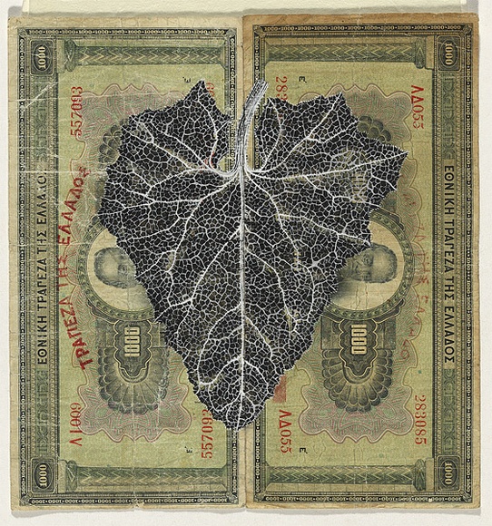 Artist: HALL, Fiona | Title: Echallium elaterium - Squirting cucumber (Greek currency) | Date: 2000 - 2002 | Technique: gouache | Copyright: © Fiona Hall