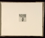 Artist: Mann, Gillian. | Title: (Lined form). | Date: 1981 | Technique: etching, printed in black ink, from one plate