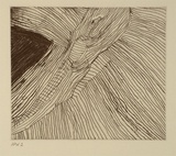 Artist: Nuggett, Amy. | Title: Crocodile | Date: 1994, October - November | Technique: etching, printed in black ink, from one plate