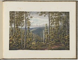 Artist: von Guérard, Eugene | Title: Forest, Cape Otway Ranges | Date: (1866 - 68) | Technique: lithograph, printed in colour, from multiple stones [or plates]