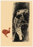 Artist: Thorpe, Lesbia. | Title: Cassowary | Date: 1982 | Technique: woodcut, printed in colour, from two blocks