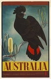 Artist: Mayo, Eileen. | Title: Australia (Cockatoo and Banksia) | Date: (1956) | Technique: lithograph, printed in colour, from multiple plates