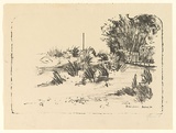 Artist: EWINS, Rod | Title: Sand dunes, Instow. 64. | Date: 1965 | Technique: lithograph, printed in black ink, from one stone