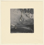 Artist: Murphey, Idris. | Title: Not titled [ambiguous landscape- long shape with four tree trunks upper right]. | Date: 2002 | Technique: open-bite and aquatint, printed in black and grey ink, from two plates