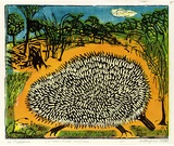 Artist: ROSENGRAVE, Harry | Title: Le pogglepine (y'kiddinhuh?) The echidna | Date: 1967 | Technique: linocut, printed in colour, from five blocks; hand-coloured