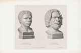 Artist: Dumont-D'Urville, Jules Sébastien César. | Title: Tasmanian Aboriginal heads. | Date: 1841-45 | Technique: lithograph, printed in black ink, from one stone