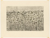 Artist: WILLIAMS, Fred | Title: Hillside landscape, Lysterfield | Date: 1965-66 | Technique: etching, flat biting, drypoint and mezzotint rocker, printed in black ink, from one plate | Copyright: © Fred Williams Estate