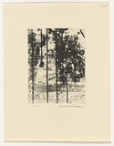 Artist: WILLIAMS, Fred | Title: Landscape panel. Number 5 | Date: 1962 | Technique: aquatint, drypoint, engraving, counter proof printed in black ink, from one copper plate | Copyright: © Fred Williams Estate