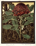 Artist: The Warners. | Title: Waratah | Date: c.1940 | Technique: linocut, printed in colour, from multiple blocks