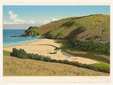 Artist: ROSE, David | Title: Frazer beach | Date: 1985 | Technique: screenprint, printed in colour, from multiple stencils