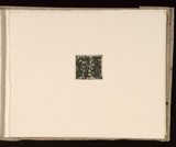 Artist: Mann, Gillian. | Title: Text. | Date: 1981 | Technique: etching, printed in black ink, from one plate