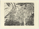 Artist: Paijmans, Anneke. | Title: A growing place | Date: 1990 | Technique: lithograph, printed in black ink, from two stones
