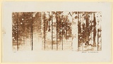 Artist: WILLIAMS, Fred | Title: Landscape triptych. Number 2 | Date: 1962 | Technique: aquatint, open biting, engraving | Copyright: © Fred Williams Estate