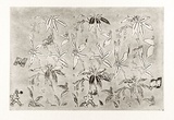 Artist: COLEING, Tony | Title: Tahiti - Perle du Pacifique. | Date: 1984 | Technique: etching and aquatint, printed in black ink with plate-tone, from one zinc plate