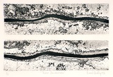 Artist: Hadley, Basil. | Title: River landscape | Date: 1976 | Technique: etching, printed in black ink, from one plate