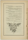 Title: not titled [hibbertia pultenaei]. | Date: 1861 | Technique: woodengraving, printed in black ink, from one block
