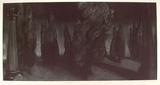 Artist: Johnstone, Ruth. | Title: Landscape I | Date: 1985 | Technique: etching, drypoint and aquatint, printed in black ink, from one plate
