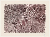 Artist: Yukenbarri, Lucy. | Title: Winpulpula rockhole | Date: 2001, September - October | Technique: lithograph, printed in red madder ink, from one stone