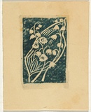 Artist: Syme, Eveline | Title: Greeting card: Christmas 1954 | Date: 1954 | Technique: linocut, printed in green ink, from one block