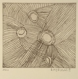 Artist: Nuggett, Amy. | Title: Jumu | Date: 1994, October - November | Technique: etching, printed in black ink, from one plate