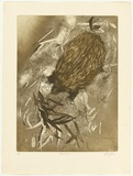 Artist: GRIFFITH, Pamela | Title: Echidna | Date: 1980 | Technique: etching, soft ground, resist spray, aquatint, burnishing printed in brown, from one zinc plate | Copyright: © Pamela Griffith