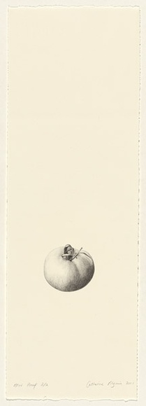 Artist: Pilgrim, Catherine. | Title: not titled [tomato] | Date: 2001, February | Technique: lithograph, printed in black ink, from one stone