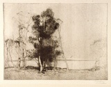 Artist: LONG, Sydney | Title: Landscape, Gosford | Date: 1928, before | Technique: line-etching, printed in brown ink, from one copper plate | Copyright: Reproduced with the kind permission of the Ophthalmic Research Institute of Australia