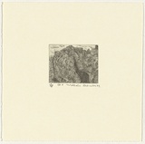 Artist: Robinson, William. | Title: Springbrook 8 | Date: 1999 | Technique: etching, printed in black ink, from one plate