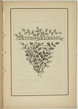 Title: not titled [fagus cunninghami / thysanotus patersonei lending library]. | Date: 1861 | Technique: woodengraving, printed in black ink, from one block