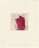 Artist: Headlam, Kristin. | Title: Oh Rose I | Date: 1997 | Technique: aquatint and drypoint, printed in colour, from two copper plates