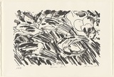 Artist: Lee, Graeme. | Title: Tusche lamb | Date: 1997, April | Technique: lithograph, printed in black ink, from one stone
