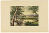 Artist: Angas, George French. | Title: The city of Adelaide from the Torrens near the reed beds. | Date: 1846-47 | Technique: lithograph, printed in colour, from multiple stones; varnish highlights by brush