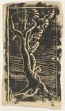 Artist: Burke, Frances. | Title: (Tree). | Date: c.1938 | Technique: linocut
