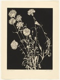 Artist: GRIFFITH, Pamela | Title: TF | Date: 1988 | Technique: hardground-etching and aquatint, printed in black ink, from one copper plate | Copyright: © Pamela Griffith