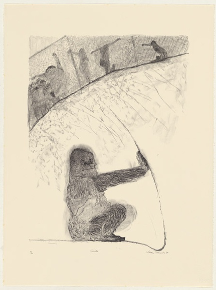 Artist: Robinson, William. | Title: Gorilla [1]. | Date: 1990 | Technique: lithograph, printed in brown ink, from one plate
