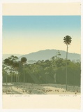 Artist: ROSE, David | Title: Ourimbah morning | Date: 1977 | Technique: screenprint, printed in colour, from multiple stencils