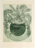 Artist: GRIFFITH, Pamela | Title: Boston fern | Date: 1978 | Technique: etching, softground, aquatint, sugarlift printed in green ink, from one zinc plate | Copyright: © Pamela Griffith