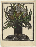 Artist: PRESTON, Margaret | Title: West Australian banksia. | Date: 1929 | Technique: woodcut, printed in black ink, from one block; hand-coloured | Copyright: © Margaret Preston. Licensed by VISCOPY, Australia