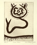 Artist: MITROPOULOS, Connie | Title: Snake flower | Date: 1996, July/August | Technique: sugar-lift etching, printed in black ink, from one plate