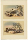 Artist: Angas, George French. | Title: The Kuri dance; the Palti dance. | Date: 1846-47 | Technique: lithograph, printed in colour, from multiple stones; varnish highlights by brush