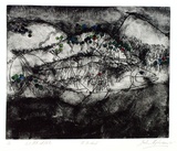 Artist: Shepherdson, Gordon. | Title: The Mackerel: Number twelve | Date: 1979 | Technique: etching and aquatint, printed in colour with plate-tone, from one plate