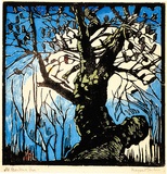 Artist: PRESTON, Margaret | Title: The Banksia tree. | Date: 1939 | Technique: woodcut, printed in black ink, from one block; hand-coloured | Copyright: © Margaret Preston. Licensed by VISCOPY, Australia