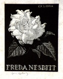 Artist: LINDSAY, Lionel | Title: Book plate: Freda Nesbitt | Date: 1940 | Technique: wood-engraving, printed in black ink, from one block | Copyright: Courtesy of the National Library of Australia