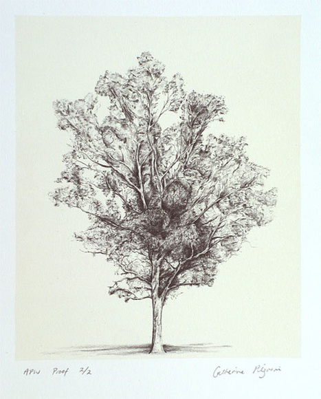 Artist: Pilgrim, Catherine. | Title: not titled [smaller tree] | Date: 2001, March | Technique: lithograph, printed in colour, from two stones (image in black, cream tint)