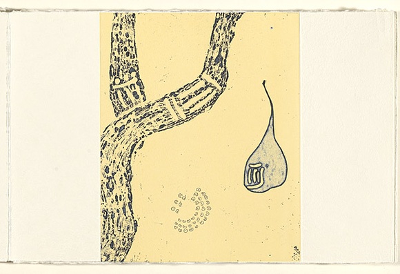 Title: That was a hard day | Date: 2007 | Technique: etching, open-bite, aquatint and relief, printed in colour, from one plate and one block