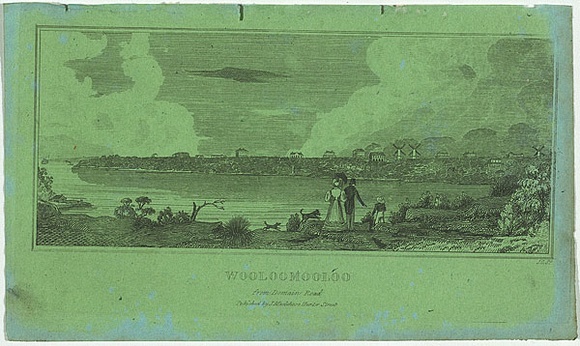 Artist: Carmichael, John. | Title: Woolloomoolloo from Domain road. | Date: 1838 | Technique: engraving, printed in black ink, from one copper plate
