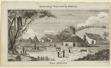Artist: Carmichael, John. | Title: Irrawang vineyard and pottery, East Australia. | Date: 1838-39 | Technique: engraving, printed in black ink, from one copper plate