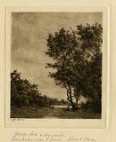Artist: Farmer, John. | Title: Banksias near a pond. | Date: c.1964 | Technique: drypoint, etching, printed in brown ink with plate-tone, from one plate