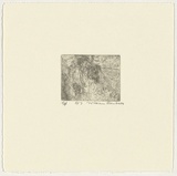Artist: Robinson, William. | Title: Springbrook 7 | Date: 1999 | Technique: etching, printed in brown ink, from one plate