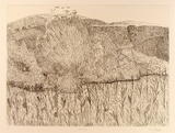 Artist: ZOFREA, Salvatore | Title: January | Date: 1984 | Technique: hardground-etching, printed in brown ink, from one zinc plate | Copyright: © Salvatore Zofrea, 1984